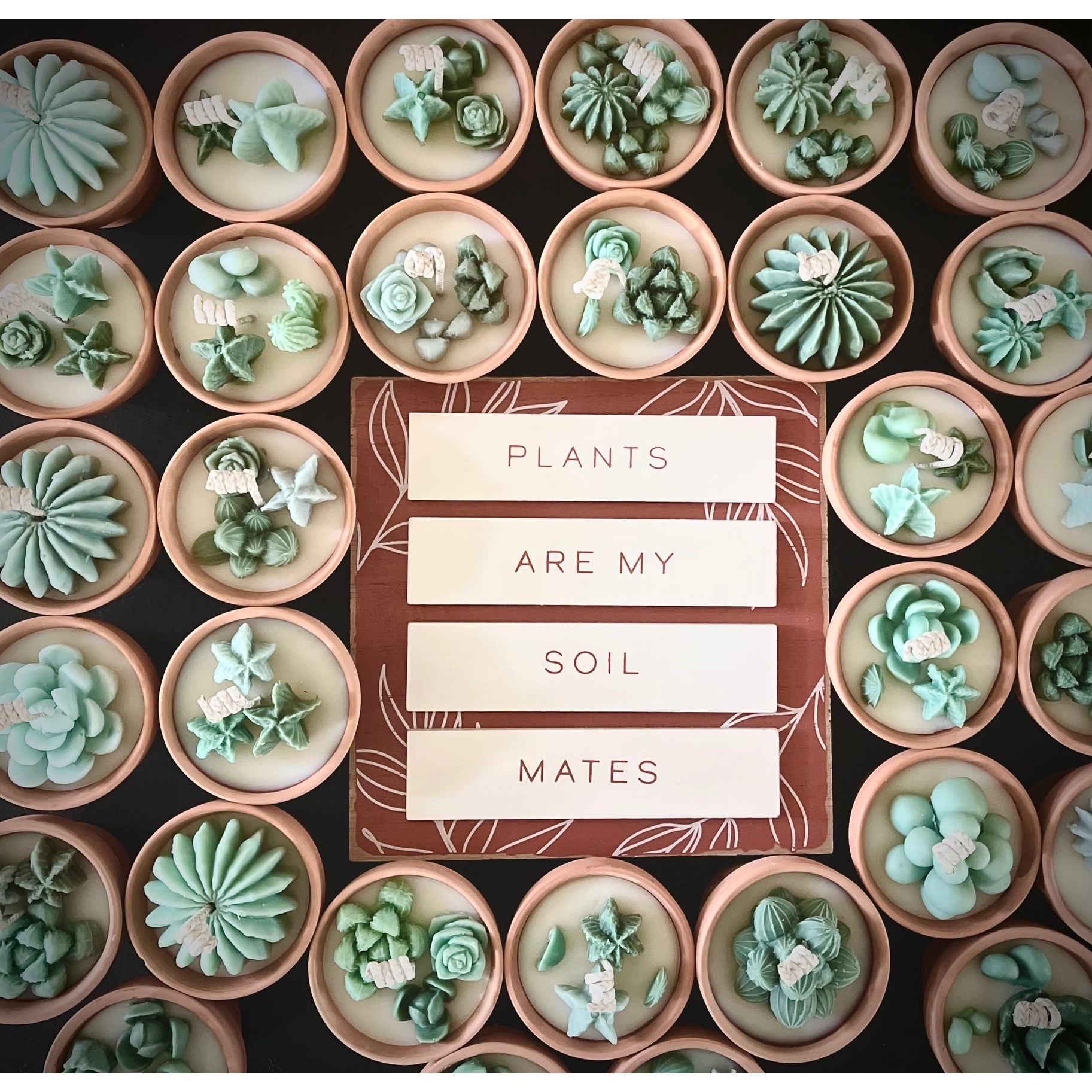 Mini Potted Succulent Candles (price is for 1 candle)
